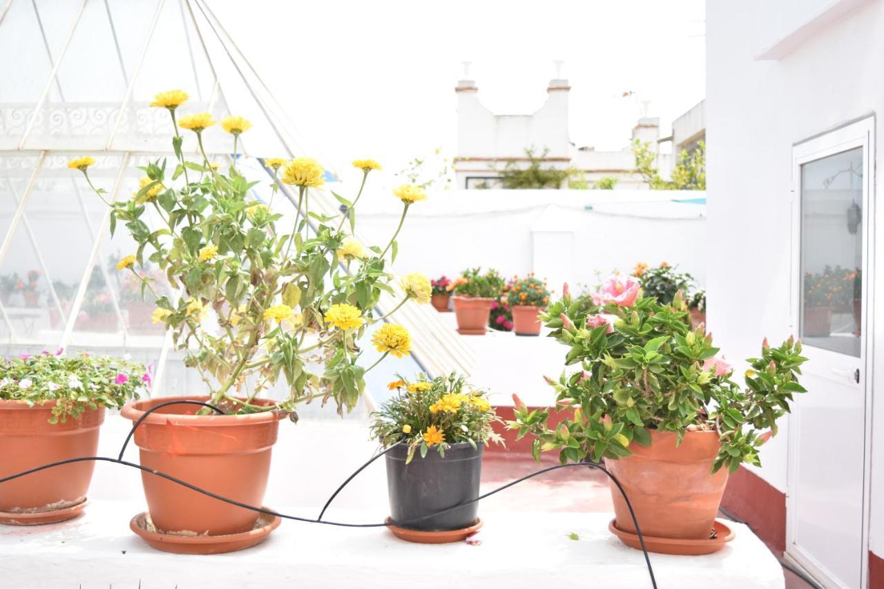 Veedor 12 Appartement Cádiz Buitenkant foto