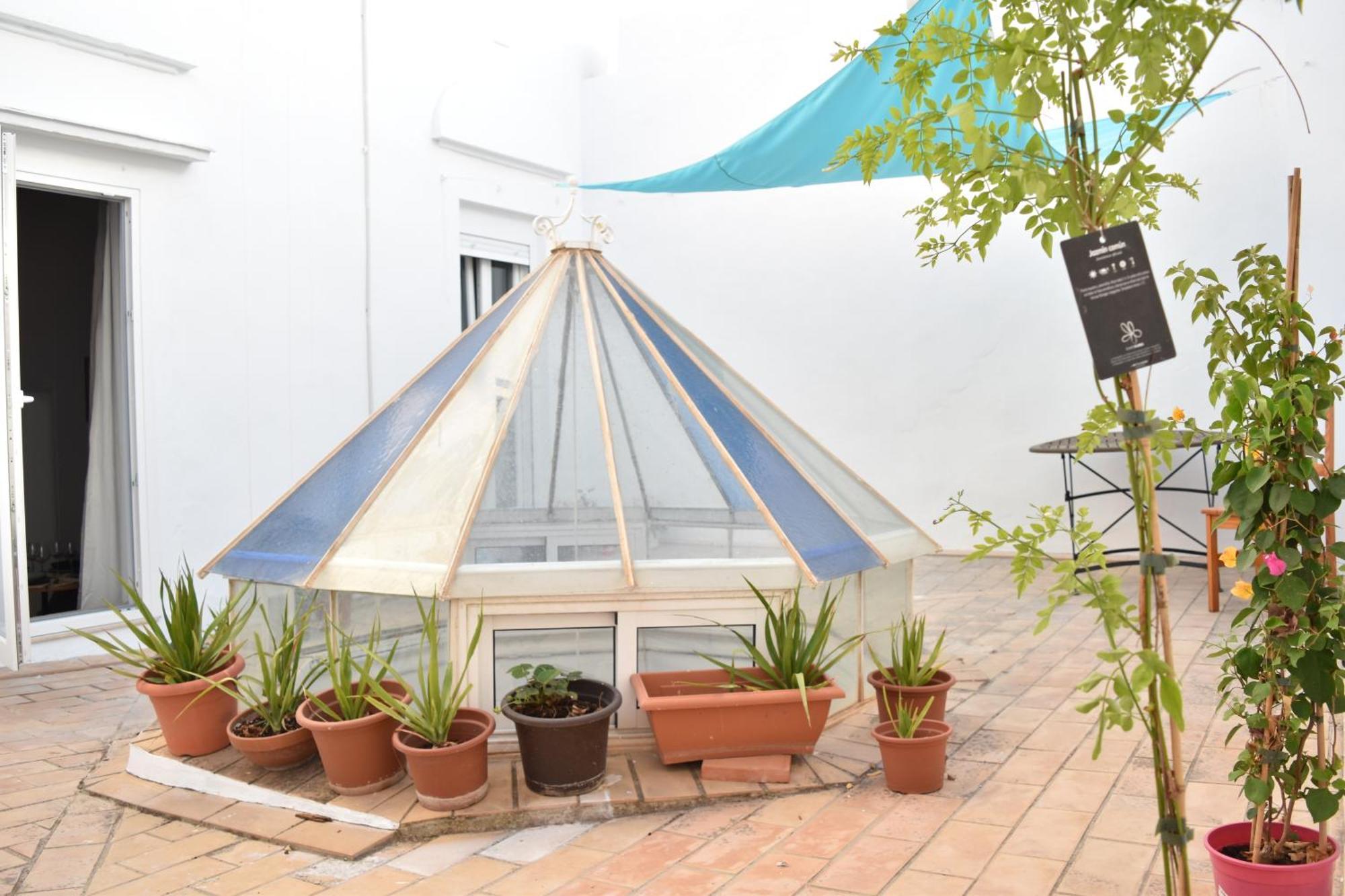 Veedor 12 Appartement Cádiz Buitenkant foto